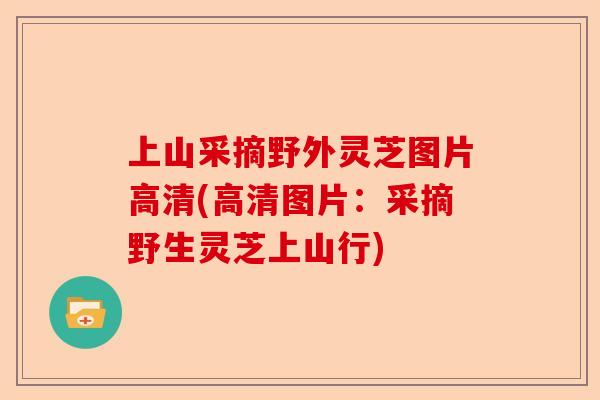 上山采摘野外灵芝图片高清(高清图片:采摘野生灵芝上山行)-第1张图片-卓越灵芝孢子粉 上山采摘野外灵芝图片高清(高清图片:采摘野生灵芝上山行)-第1张图片-卓越灵芝孢子粉