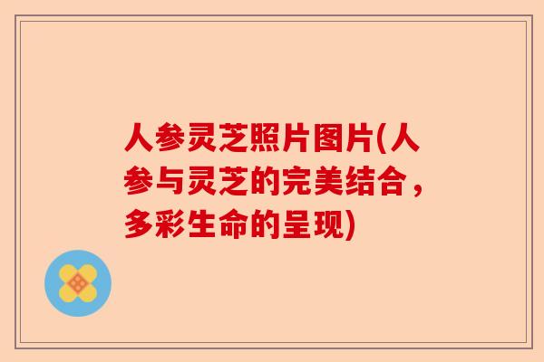 人参灵芝照片图片(人参与灵芝的完美结合，多彩生命的呈现)-第1张图片-卓越灵芝孢子粉