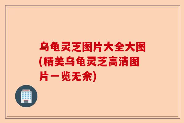 乌龟灵芝图片大全大图(精美乌龟灵芝高清图片一览无余)-第1张图片-卓越灵芝孢子粉 乌龟灵芝图片大全大图(精美乌龟灵芝高清图片一览无余)-第1张图片-卓越灵芝孢子粉