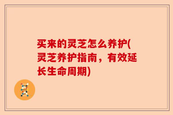 买来的灵芝怎么养护(灵芝养护指南,有效延长生命周期)-第1张图片-卓越灵芝孢子粉 买来的灵芝怎么养护(灵芝养护指南,有效延长生命周期)-第1张图片-卓越灵芝孢子粉
