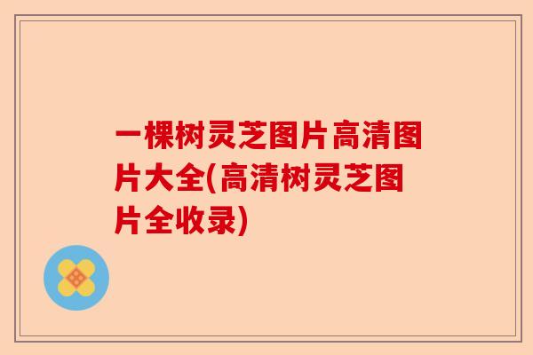 一棵树灵芝图片高清图片大全(高清树灵芝图片全收录)-第1张图片-卓越灵芝孢子粉