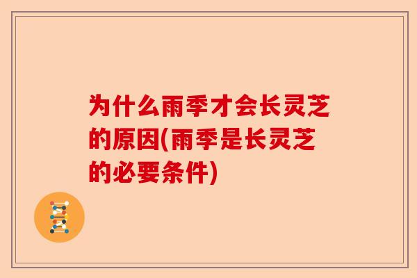 为什么雨季才会长灵芝的原因(雨季是长灵芝的必要条件)-第1张图片-卓越灵芝孢子粉