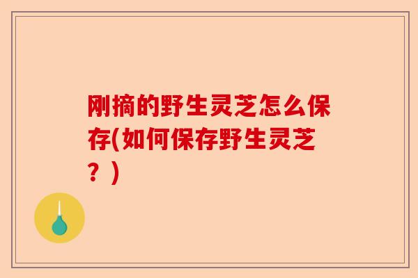 刚摘的野生灵芝怎么保存(如何保存野生灵芝?)-第1张图片-卓越灵芝孢子粉 刚摘的野生灵芝怎么保存(如何保存野生灵芝?)-第1张图片-卓越灵芝孢子粉