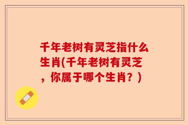 千年老树有灵芝指什么生肖(千年老树有灵芝,你属于哪个生肖?)-第1张图片-卓越灵芝孢子粉 千年老树有灵芝指什么生肖(千年老树有灵芝,你属于哪个生肖?)-第1张图片-卓越灵芝孢子粉