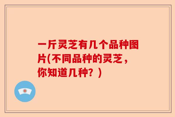 一斤灵芝有几个品种图片(不同品种的灵芝,你知道几种?)-第1张图片-卓越灵芝孢子粉 一斤灵芝有几个品种图片(不同品种的灵芝,你知道几种?)-第1张图片-卓越灵芝孢子粉