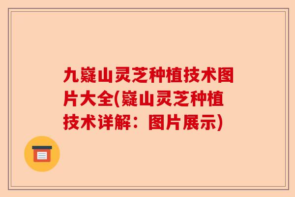 九嶷山灵芝种植技术图片大全(嶷山灵芝种植技术详解:图片展示)-第1张图片-卓越灵芝孢子粉 九嶷山灵芝种植技术图片大全(嶷山灵芝种植技术详解:图片展示)-第1张图片-卓越灵芝孢子粉