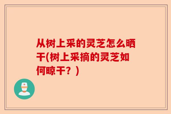 从树上采的灵芝怎么晒干(树上采摘的灵芝如何晾干?)-第1张图片-卓越灵芝孢子粉 从树上采的灵芝怎么晒干(树上采摘的灵芝如何晾干?)-第1张图片-卓越灵芝孢子粉