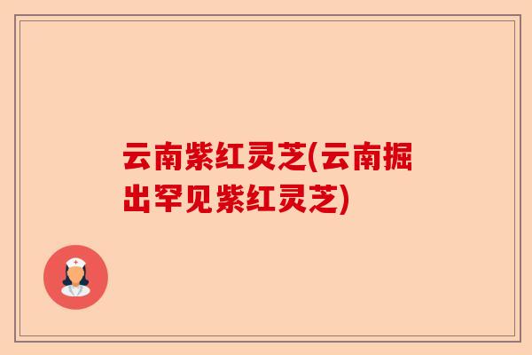 云南紫红灵芝(云南掘出罕见紫红灵芝)-第1张图片-卓越灵芝孢子粉