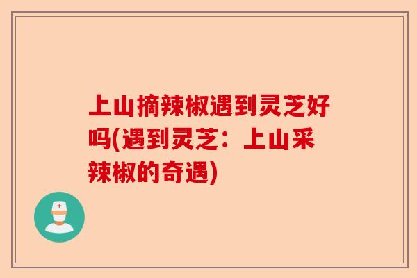 上山摘辣椒遇到灵芝好吗(遇到灵芝：上山采辣椒的奇遇)-第1张图片-卓越灵芝孢子粉