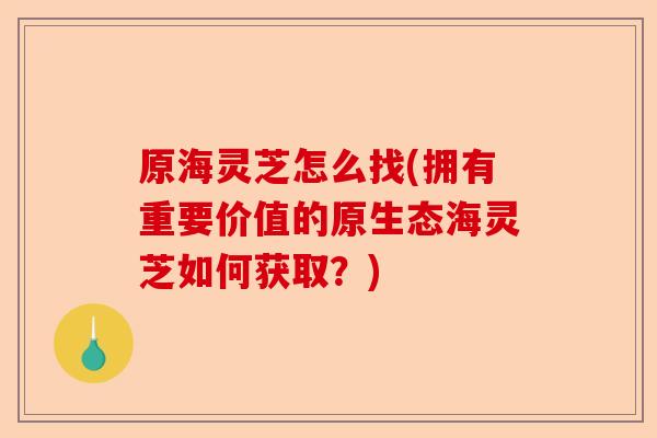原海灵芝怎么找(拥有重要价值的原生态海灵芝如何获取?)-第1张图片-卓越灵芝孢子粉 原海灵芝怎么找(拥有重要价值的原生态海灵芝如何获取?)-第1张图片-卓越灵芝孢子粉