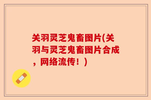 关羽灵芝鬼畜图片(关羽与灵芝鬼畜图片合成，网络流传！)-第1张图片-卓越灵芝孢子粉