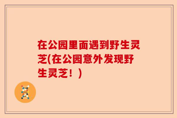 在公园里面遇到野生灵芝(在公园意外发现野生灵芝!)-第1张图片-卓越灵芝孢子粉 在公园里面遇到野生灵芝(在公园意外发现野生灵芝!)-第1张图片-卓越灵芝孢子粉