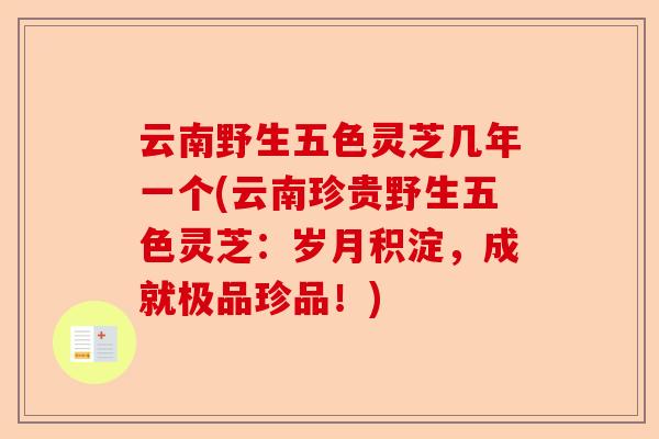 云南野生五色灵芝几年一个(云南珍贵野生五色灵芝：岁月积淀，成就极品珍品！)-第1张图片-卓越灵芝孢子粉