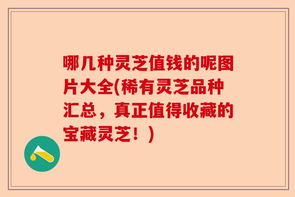 哪几种灵芝值钱的呢图片大全(稀有灵芝品种汇总,真正值得收藏的宝藏灵芝!)-第1张图片-卓越灵芝孢子粉 哪几种灵芝值钱的呢图片大全(稀有灵芝品种汇总,真正值得收藏的宝藏灵芝!)-第1张图片-卓越灵芝孢子粉