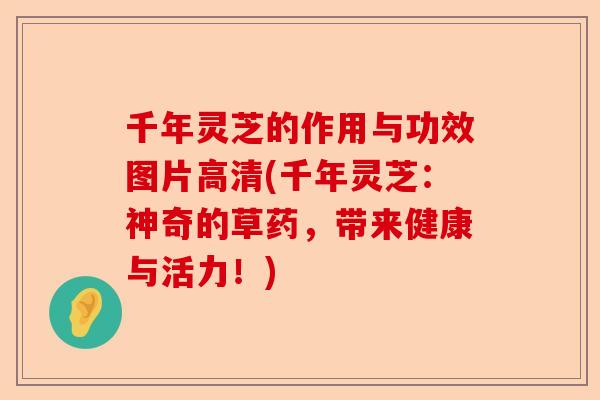 千年灵芝的作用与功效图片高清(千年灵芝：神奇的草药，带来健康与活力！)-第1张图片-卓越灵芝孢子粉
