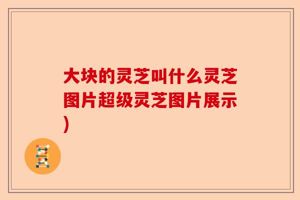 大块的灵芝叫什么灵芝图片超级灵芝图片展示)-第1张图片-卓越灵芝孢子粉