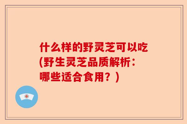 什么样的野灵芝可以吃(野生灵芝品质解析:哪些适合食用?)-第1张图片-卓越灵芝孢子粉 什么样的野灵芝可以吃(野生灵芝品质解析:哪些适合食用?)-第1张图片-卓越灵芝孢子粉