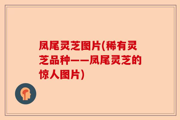 凤尾灵芝图片(稀有灵芝品种——凤尾灵芝的惊人图片)-第1张图片-卓越灵芝孢子粉 凤尾灵芝图片(稀有灵芝品种——凤尾灵芝的惊人图片)-第1张图片-卓越灵芝孢子粉