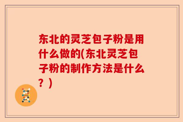 东北的灵芝包子粉是用什么做的(东北灵芝包子粉的制作方法是什么？)-第1张图片-卓越灵芝孢子粉