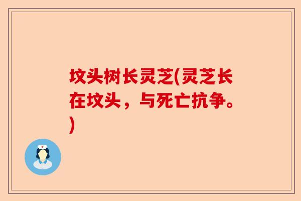 坟头树长灵芝(灵芝长在坟头，与死亡抗争。)-第1张图片-卓越灵芝孢子粉