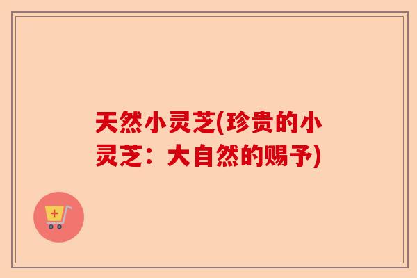 天然小灵芝(珍贵的小灵芝:大自然的赐予)-第1张图片-卓越灵芝孢子粉 天然小灵芝(珍贵的小灵芝:大自然的赐予)-第1张图片-卓越灵芝孢子粉