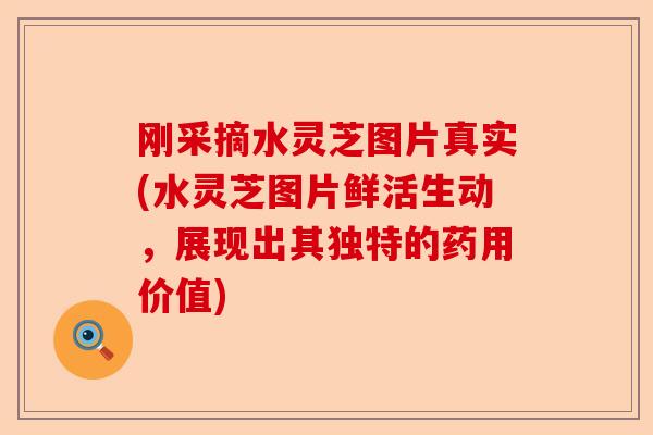 刚采摘水灵芝图片真实(水灵芝图片鲜活生动，展现出其独特的药用价值)-第1张图片-卓越灵芝孢子粉