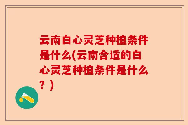 云南白心灵芝种植条件是什么(云南合适的白心灵芝种植条件是什么?)-第1张图片-卓越灵芝孢子粉 云南白心灵芝种植条件是什么(云南合适的白心灵芝种植条件是什么?)-第1张图片-卓越灵芝孢子粉