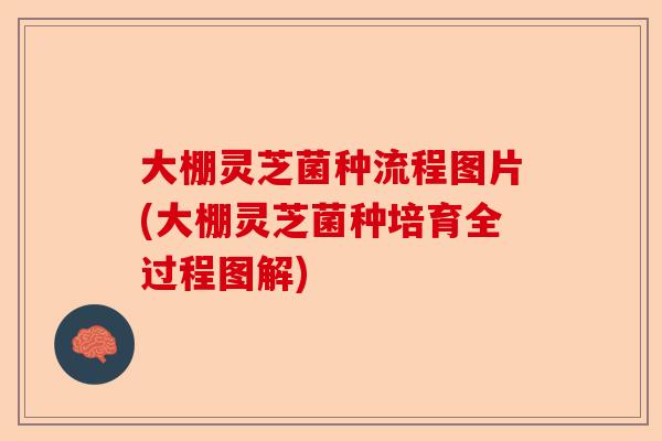 大棚灵芝菌种流程图片(大棚灵芝菌种培育全过程图解)-第1张图片-卓越灵芝孢子粉 大棚灵芝菌种流程图片(大棚灵芝菌种培育全过程图解)-第1张图片-卓越灵芝孢子粉