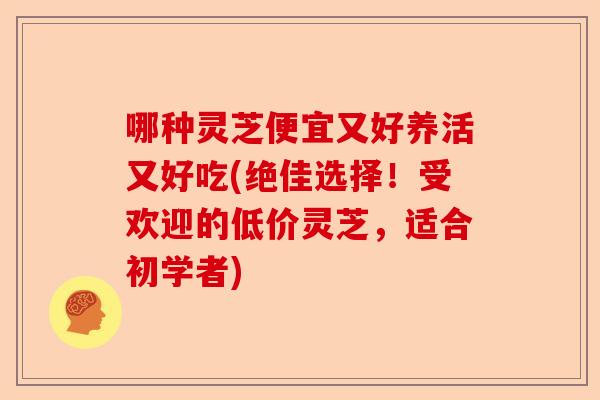 哪种灵芝便宜又好养活又好吃(绝佳选择!受欢迎的低价灵芝,适合初学者)-第1张图片-卓越灵芝孢子粉 哪种灵芝便宜又好养活又好吃(绝佳选择!受欢迎的低价灵芝,适合初学者)-第1张图片-卓越灵芝孢子粉