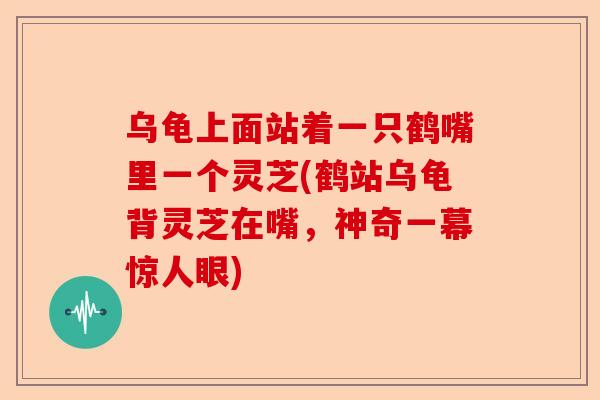 乌龟上面站着一只鹤嘴里一个灵芝(鹤站乌龟背灵芝在嘴,神奇一幕惊人眼)-第1张图片-卓越灵芝孢子粉 乌龟上面站着一只鹤嘴里一个灵芝(鹤站乌龟背灵芝在嘴,神奇一幕惊人眼)-第1张图片-卓越灵芝孢子粉