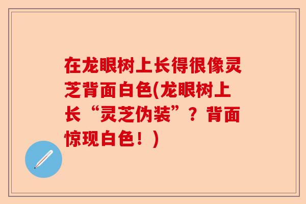 在龙眼树上长得很像灵芝背面白色(龙眼树上长“灵芝伪装”?背面惊现白色!)-第1张图片-卓越灵芝孢子粉 在龙眼树上长得很像灵芝背面白色(龙眼树上长“灵芝伪装”?背面惊现白色!)-第1张图片-卓越灵芝孢子粉