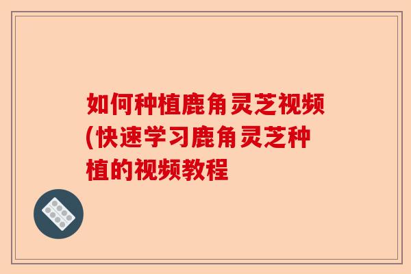 如何种植鹿角灵芝视频(快速学习鹿角灵芝种植的视频教程-第1张图片-卓越灵芝孢子粉 如何种植鹿角灵芝视频(快速学习鹿角灵芝种植的视频教程-第1张图片-卓越灵芝孢子粉