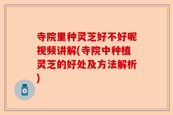 寺院里种灵芝好不好呢视频讲解(寺院中种植灵芝的好处及方法解析)-第1张图片-卓越灵芝孢子粉