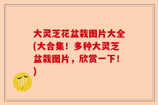 大灵芝花盆栽图片大全(大合集！多种大灵芝盆栽图片，欣赏一下！)-第1张图片-卓越灵芝孢子粉