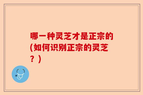 哪一种灵芝才是正宗的(如何识别正宗的灵芝?)-第1张图片-卓越灵芝孢子粉 哪一种灵芝才是正宗的(如何识别正宗的灵芝?)-第1张图片-卓越灵芝孢子粉