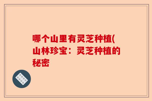 哪个山里有灵芝种植(山林珍宝:灵芝种植的秘密-第1张图片-卓越灵芝孢子粉 哪个山里有灵芝种植(山林珍宝:灵芝种植的秘密-第1张图片-卓越灵芝孢子粉
