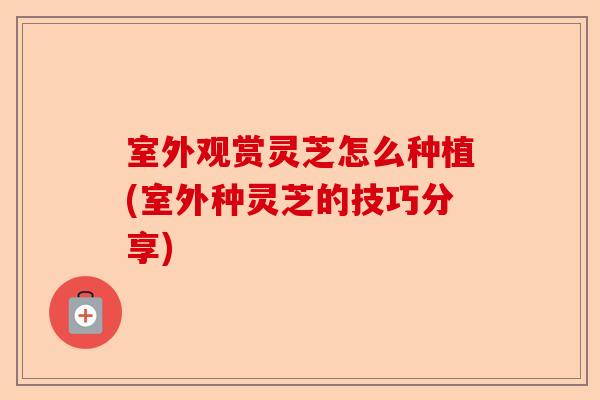 室外观赏灵芝怎么种植(室外种灵芝的技巧分享)-第1张图片-卓越灵芝孢子粉 室外观赏灵芝怎么种植(室外种灵芝的技巧分享)-第1张图片-卓越灵芝孢子粉