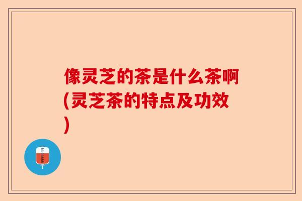 像灵芝的茶是什么茶啊(灵芝茶的特点及功效)-第1张图片-卓越灵芝孢子粉