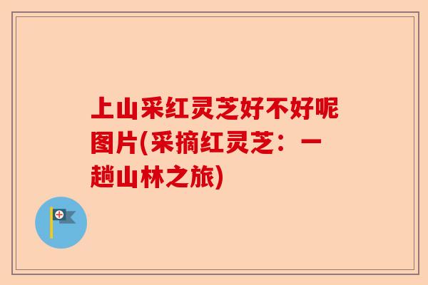 上山采红灵芝好不好呢图片(采摘红灵芝：一趟山林之旅)-第1张图片-卓越灵芝孢子粉