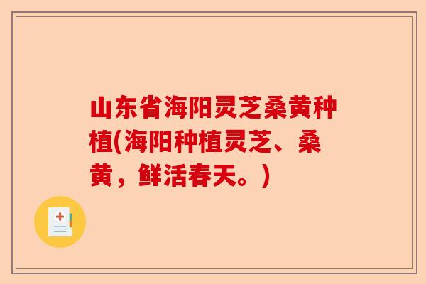 山东省海阳灵芝桑黄种植(海阳种植灵芝、桑黄,鲜活春天。)-第1张图片-卓越灵芝孢子粉 山东省海阳灵芝桑黄种植(海阳种植灵芝、桑黄,鲜活春天。)-第1张图片-卓越灵芝孢子粉