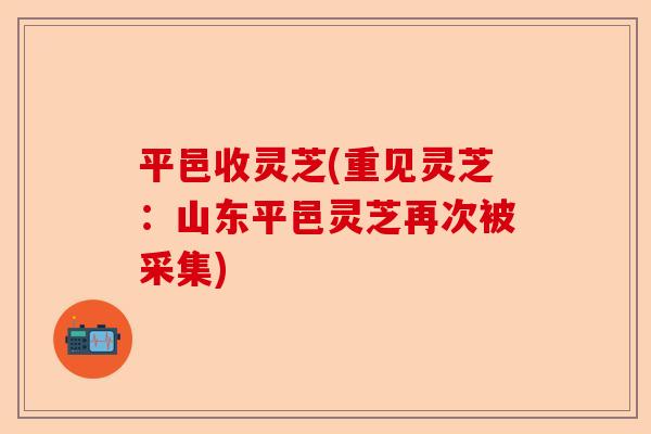 平邑收灵芝(重见灵芝:山东平邑灵芝再次被采集)-第1张图片-卓越灵芝孢子粉 平邑收灵芝(重见灵芝:山东平邑灵芝再次被采集)-第1张图片-卓越灵芝孢子粉