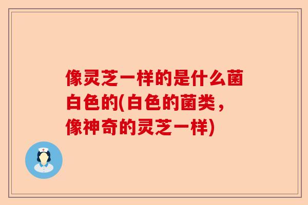 像灵芝一样的是什么菌白色的(白色的菌类，像神奇的灵芝一样)-第1张图片-卓越灵芝孢子粉