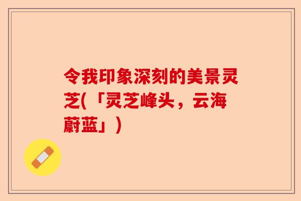 令我印象深刻的美景灵芝(「灵芝峰头,云海蔚蓝」)-第1张图片-卓越灵芝孢子粉 令我印象深刻的美景灵芝(「灵芝峰头,云海蔚蓝」)-第1张图片-卓越灵芝孢子粉