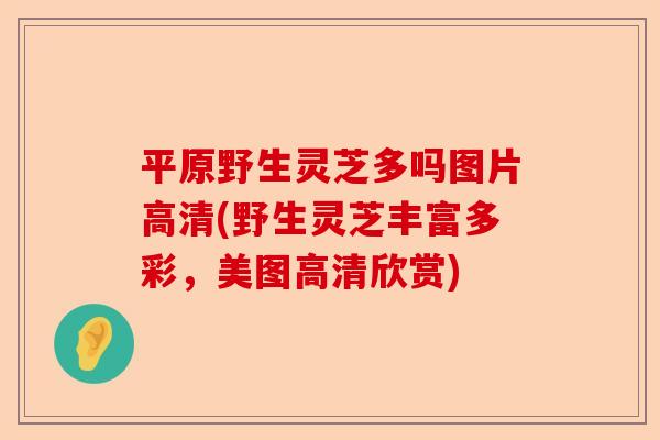 平原野生灵芝多吗图片高清(野生灵芝丰富多彩,美图高清欣赏)-第1张图片-卓越灵芝孢子粉 平原野生灵芝多吗图片高清(野生灵芝丰富多彩,美图高清欣赏)-第1张图片-卓越灵芝孢子粉