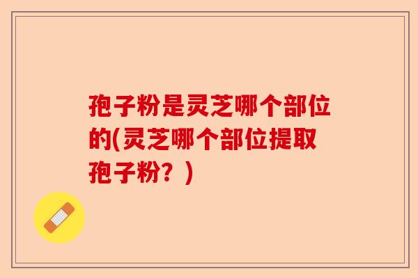 孢子粉是灵芝哪个部位的(灵芝哪个部位提取孢子粉？)-第1张图片-卓越灵芝孢子粉