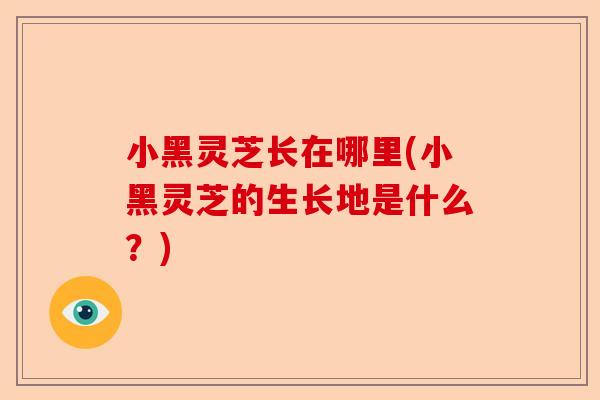 小黑灵芝长在哪里(小黑灵芝的生长地是什么?)-第1张图片-卓越灵芝孢子粉 小黑灵芝长在哪里(小黑灵芝的生长地是什么?)-第1张图片-卓越灵芝孢子粉