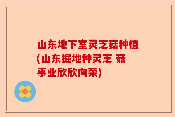 山东地下室灵芝菇种植(山东掘地种灵芝 菇事业欣欣向荣)-第1张图片-卓越灵芝孢子粉 山东地下室灵芝菇种植(山东掘地种灵芝 菇事业欣欣向荣)-第1张图片-卓越灵芝孢子粉