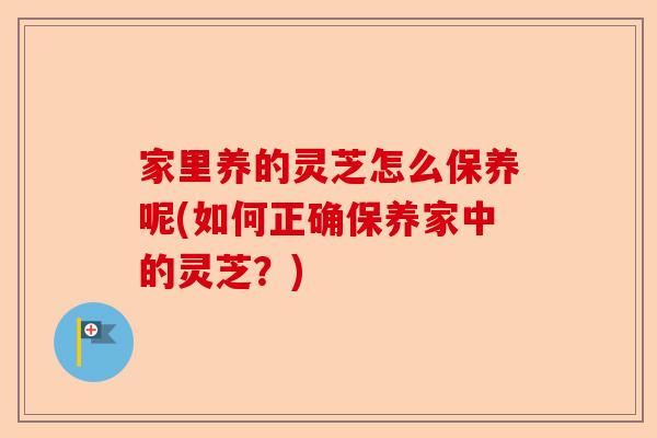 家里养的灵芝怎么保养呢(如何正确保养家中的灵芝?)-第1张图片-卓越灵芝孢子粉 家里养的灵芝怎么保养呢(如何正确保养家中的灵芝?)-第1张图片-卓越灵芝孢子粉