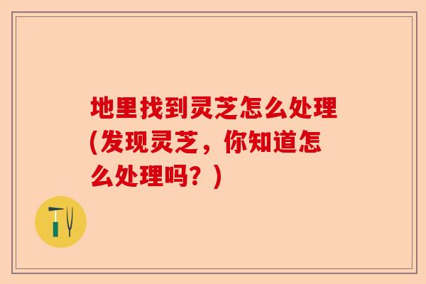 地里找到灵芝怎么处理(发现灵芝,你知道怎么处理吗?)-第1张图片-卓越灵芝孢子粉 地里找到灵芝怎么处理(发现灵芝,你知道怎么处理吗?)-第1张图片-卓越灵芝孢子粉