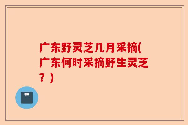 广东野灵芝几月采摘(广东何时采摘野生灵芝?)-第1张图片-卓越灵芝孢子粉 广东野灵芝几月采摘(广东何时采摘野生灵芝?)-第1张图片-卓越灵芝孢子粉